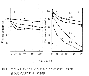 図1 デキストラン・ジアルデヒドとペクチナーゼの結合反応に及ぼすpHの影響