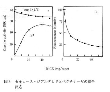 図3 セルロース・ジアルデヒドとペクチナーゼの結合反応