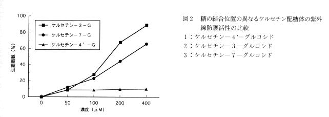 図2 糖の結合位置の異なるケルセチン配糖体の紫外線防護活性の比較