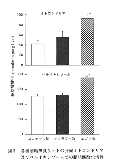 図3 各種油脂摂食ラットの肝臓ミトコンドリア及びペルオキシソームでの脂肪酸酸化活性