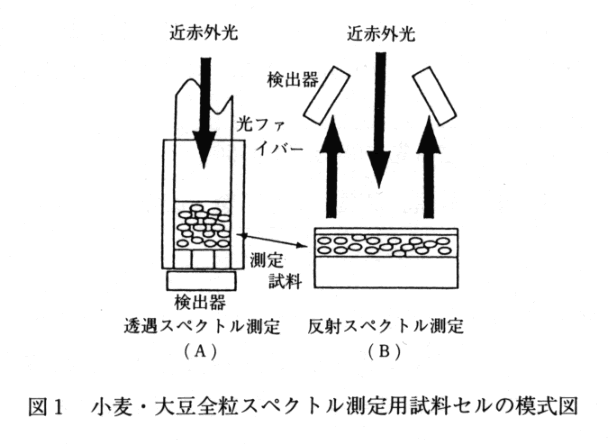 図1 小麦・大豆全粒スペクトル測定用試料セルの模式図