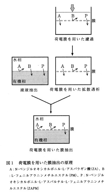 図1 荷電膜を用いた膜抽出の原理