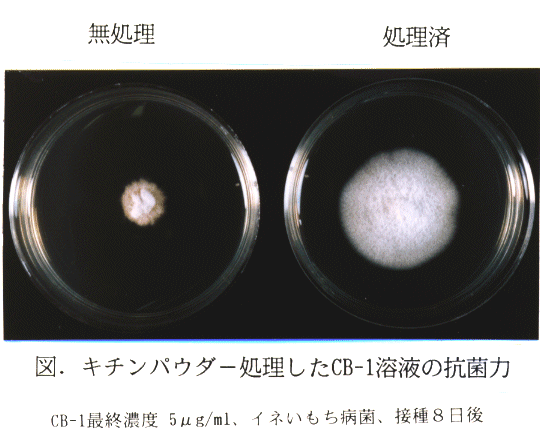 図1 キチンパウダー処理したCB-1溶液の抗菌力