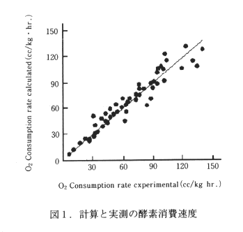 図1 計算と実測の酵素消費速度