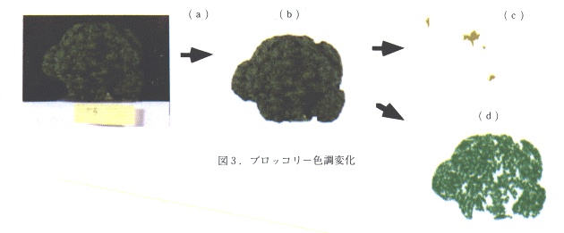 図3 ブロッコリー色調変化