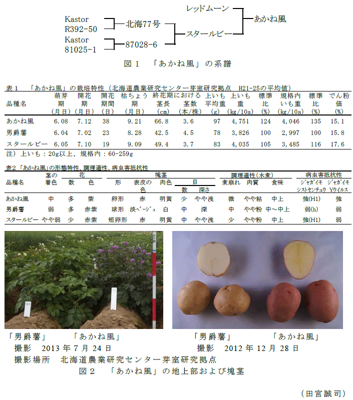 図1～2,表1～2