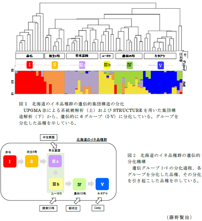 図1～2