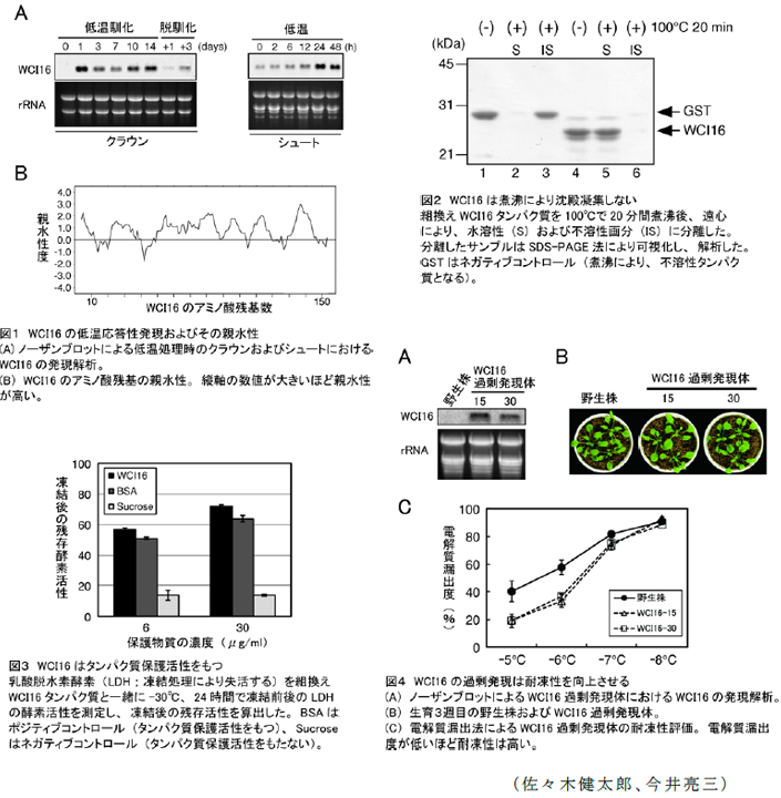 図1~4