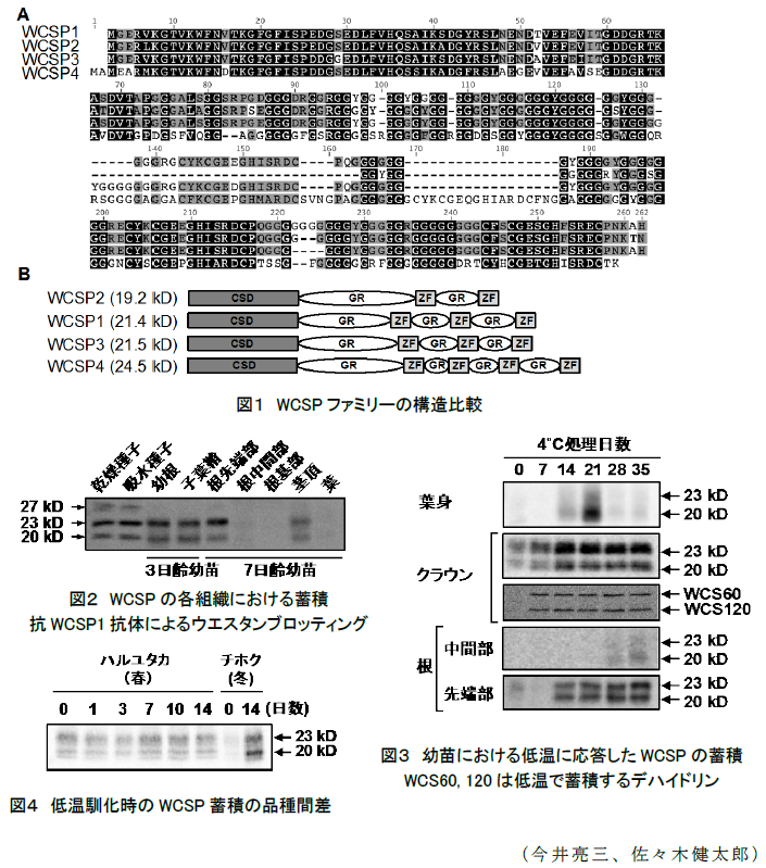 図1～4