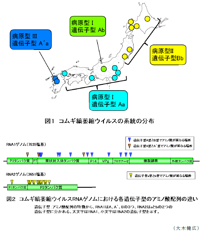 図1～2