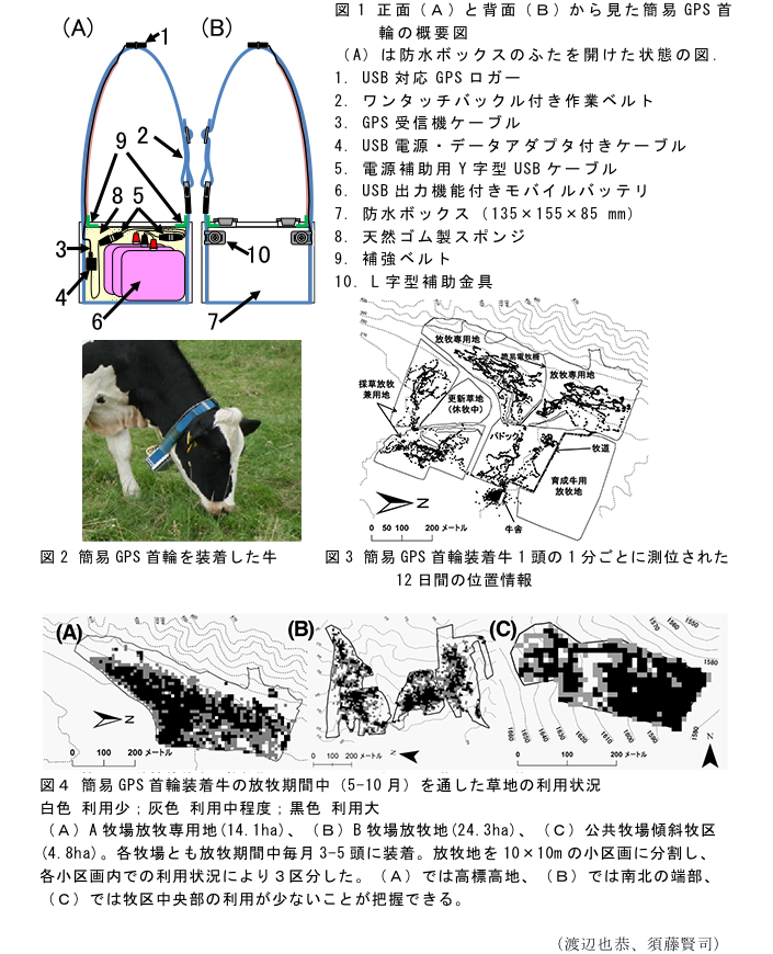 図1 正面(A)と背面(B)から見た簡易GPS首輪の概要図?図2 簡易GPS首輪を装着した牛?図3 簡易GPS首輪装着牛1頭の1分ごとに測位された12日間の位置情報?図4 簡易GPS首輪装着牛の放牧期間中(5-10月)を通した草地の利用状況