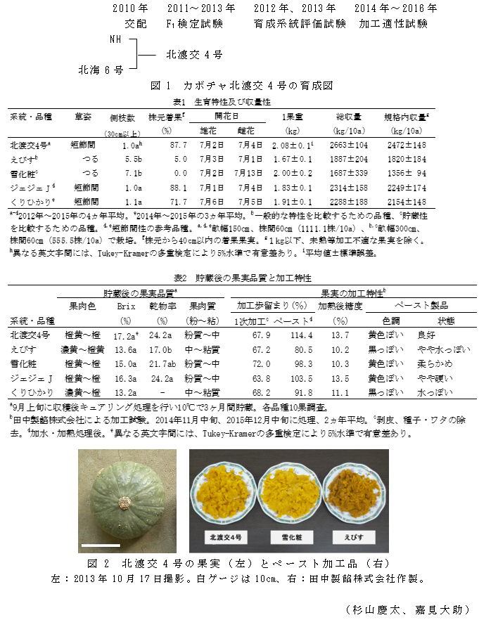 図1 カボチャ北渡交4号の育成図;図2 北渡交4号の果実(左)とペースト加工品(右)