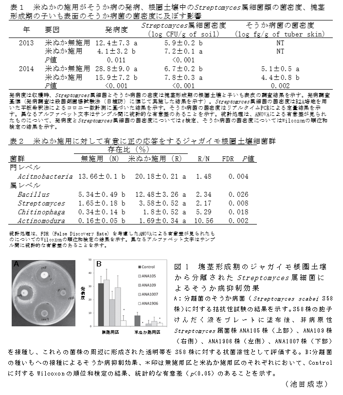 図1 塊茎形成期のジャガイモ根圏土壌から分離されたStreptomyces属細菌によるそうか病抑制効果