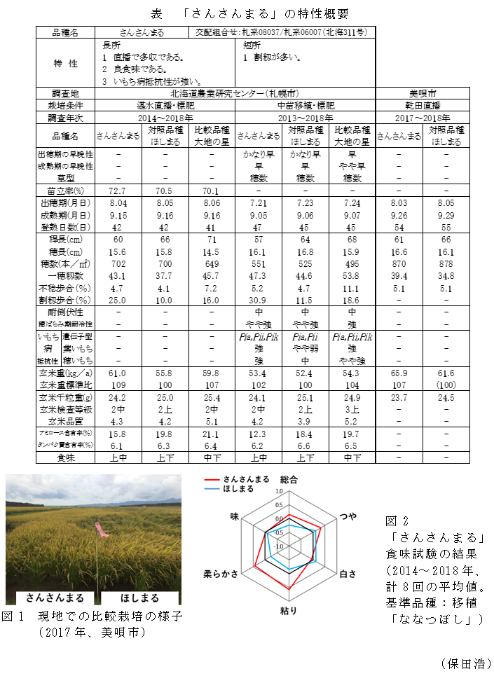 表 「さんさんまる」の特性概要,図1 現地での比較栽培の様子(2017年、美唄市),図2「さんさんまる」食味試験の結果(2014～2018年、計8回の平均値。基準品種:移植「ななつぼし」)