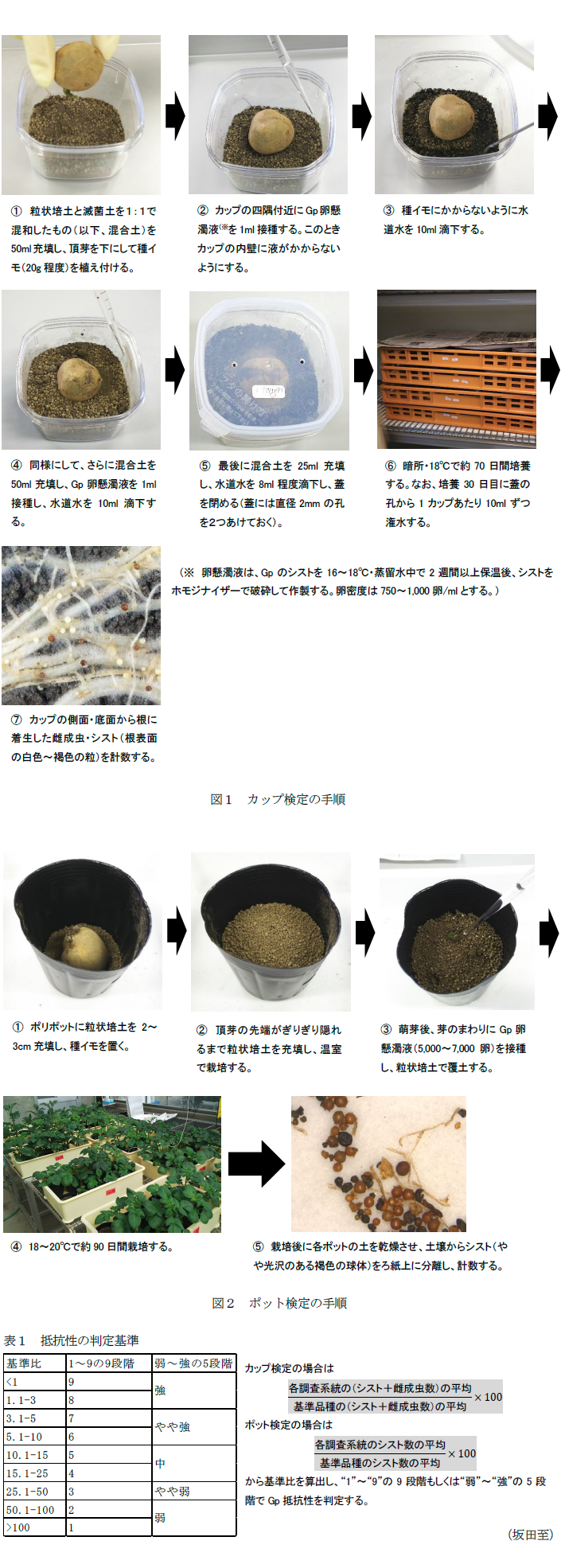 図1 カップ検定の手順,図2 ポット検定の手順,表1 抵抗性の判定基準