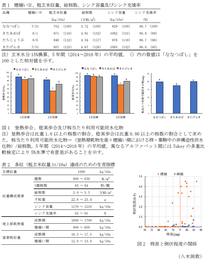 表1 穂揃い日、粗玄米収量、総籾数、シンク容量及びシンク充填率,図1 登熟歩合、稔実歩合及び籾当たり利用可能炭水化物,表2 多収(粗玄米収量1t/10a)達成のための生育指標,図2 稈長と倒伏程度の関係