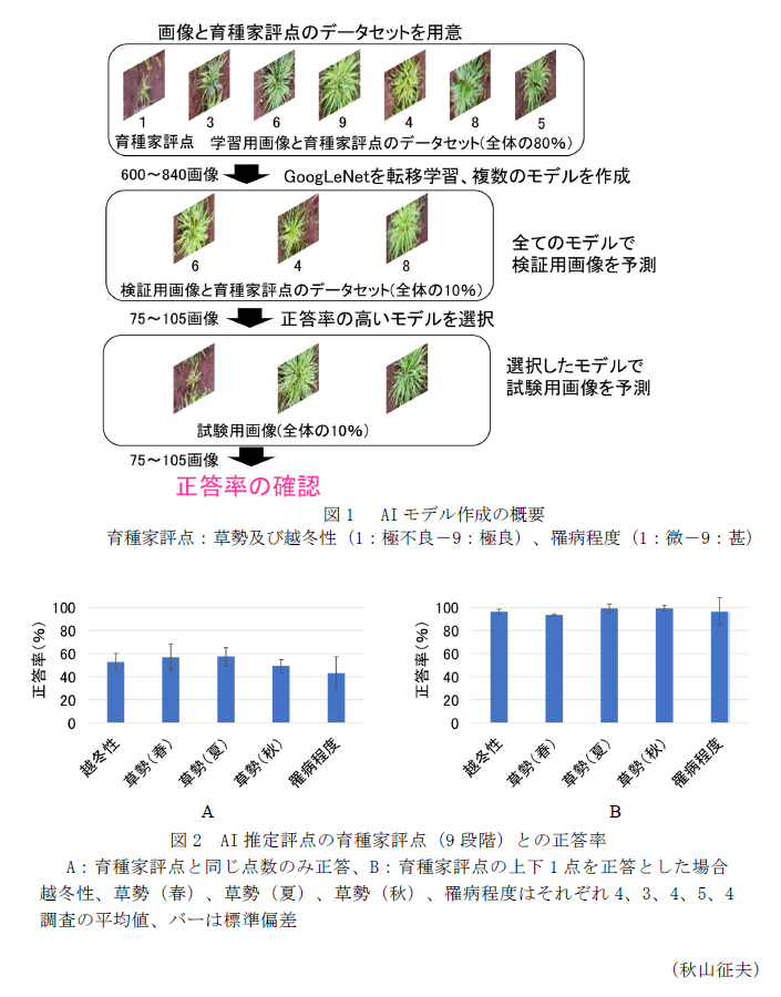 図1  AIモデル作成の概要,図2 AI推定評点の育種家評点(9段階)との正答率 A:育種家評点と同じ点数のみ正答、B:育種家評点の上下1点を正答とした場合