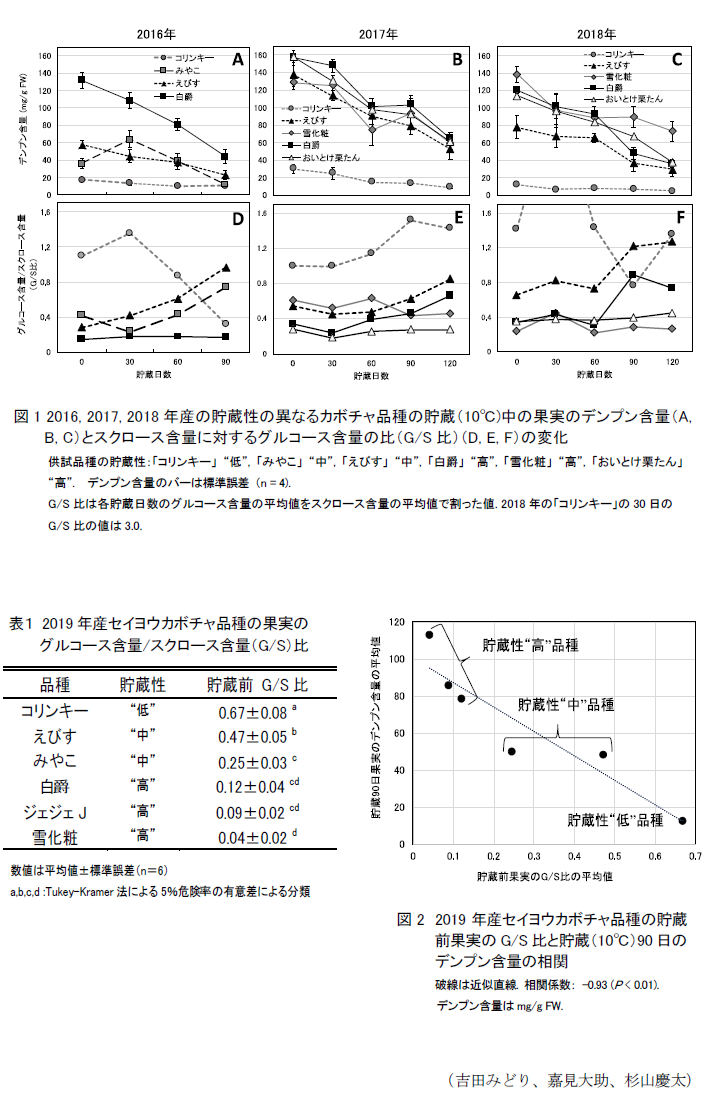 図1 2016, 2017, 2018年産の貯蔵性の異なるカボチャ品種の貯蔵(10°C)中の果実のデンプン含量(A, B, C)とスクロース含量に対するグルコース含量の比(G/S比)(D, E, F)の変化,表1 2019年産セイヨウカボチャ品種の果実のグルコース含量/スクロース含量(G/S)比,図2 2019年産セイヨウカボチャ品種の貯蔵前果実のG/S比と貯蔵(10°C)90日のデンプン含量の相関