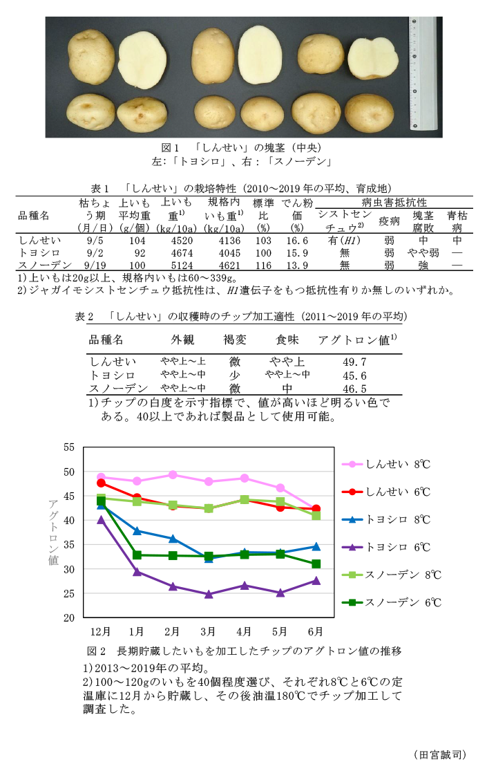 図1 「しんせい」の塊茎(中央)左:「トヨシロ」、右:「スノーデン」,表2 「しんせい」の収穫時のチップ加工適性(2011~2019年の平均),図2 長期貯蔵したいもを加工したチップのアグトロン値の推移