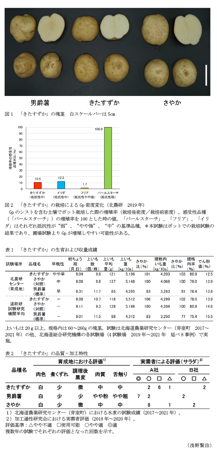 図1 「きたすずか」の塊茎 白スケールバーは5cm,図2 「きたすずか」の栽培によるGp密度変化(北農研 2019年),表1 「きたすずか」の生育および収量成績,表2 「きたすずか」の品質・加工特性