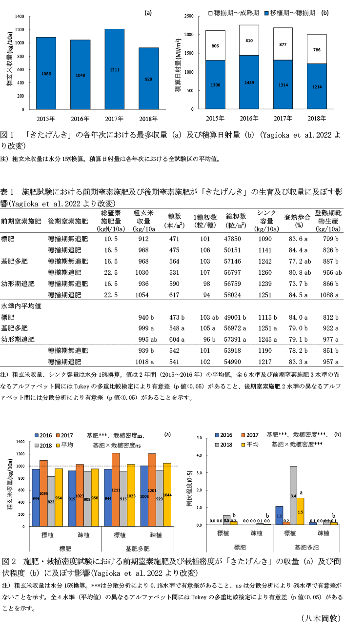 図1 「きたげんき」の各年次における最多収量(a)及び積算日射量(b)(Yagioka et al.2022より改変),表1 施肥試験における前期窒素施肥及び後期窒素施肥が「きたげんき」の生育及び収量に及ぼす影響(Yagioka et al.2022より改変) ,図2 施肥・栽植密度試験における前期窒素施肥及び栽植密度が「きたげんき」の収量(a)及び倒伏程度(b)に及ぼす影響(Yagioka et al.2022より改変)