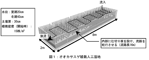 図1.オオカサスゲ植栽人工湿地
