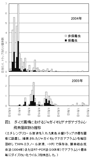 図1.ダイズ圃場におけるジャガイモヒゲナガアブラムシ飛来個体数の推移