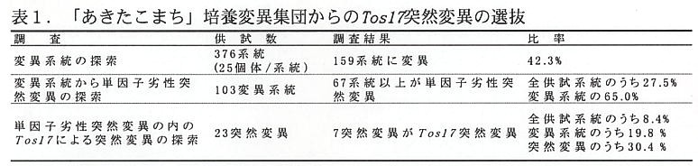 表1.「あきたこまち」培養変異集団からのTos17突然変異の選抜
