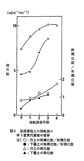 図2 低湿重粘度の畑転換に伴う窒素代謝能の推移
