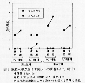 図1.施肥水準が及ぼす倒伏への影響