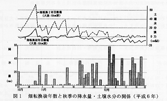 図1.畑転換後年数と秋季の降水量・土壌水分の関係(平成6年)