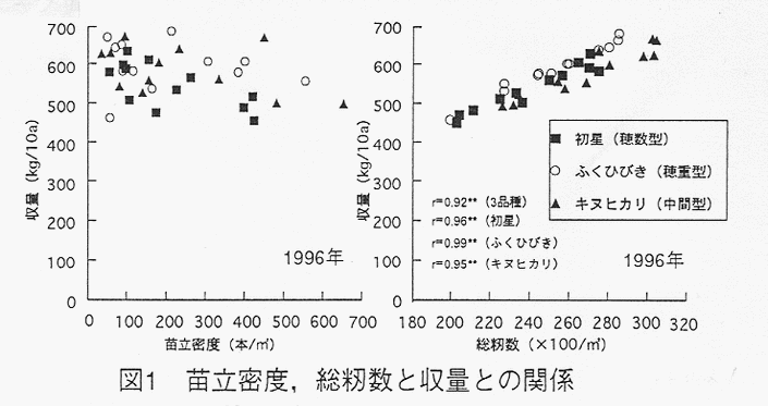 図1 苗立密度、総籾数と収量との関係
