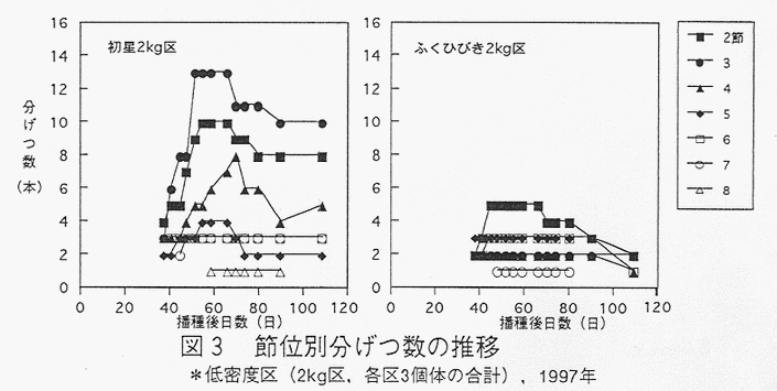 図3 節位別分げつ数の推移
