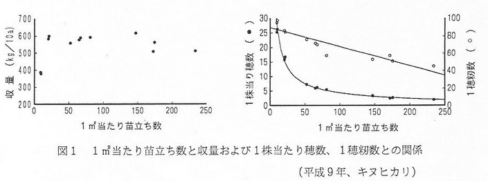 図1 1m2当たり苗立数と収量および1株当たり穂数、1穂籾数との関係