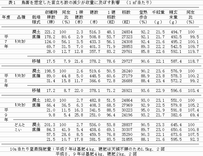 表1 鳥害を想定した苗立ち数の減少が収量に及ぼす影響