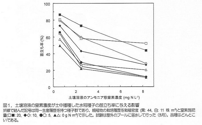 図1 土壌溶液の窒素濃度が土中播種した水稲種子の苗立ち率に与える影響