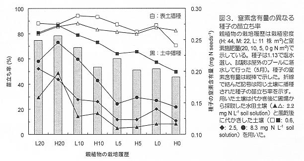 図3 窒素含有量の異なる種子の苗立ち率