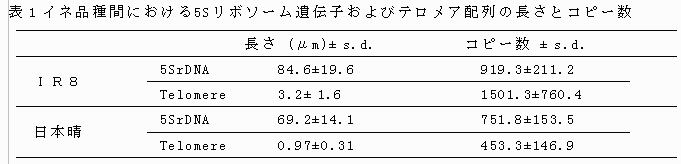 表1 イネ品種間における5Sリボソーム遺伝子およびテロメア配列の長さとコピー数