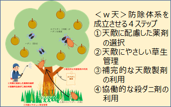 <w天>防除体系を成立させる4ステップ
