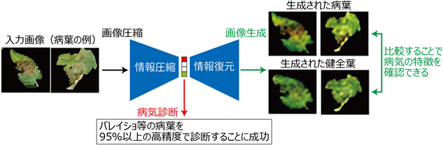 病気診断参考画像