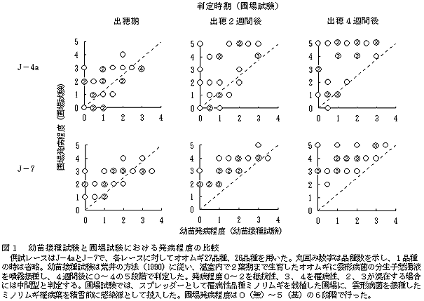 図1 幼苗接種試験と圃場試験における発病程度の比較