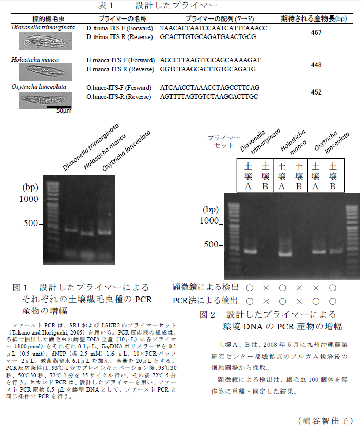 表1、図1～2