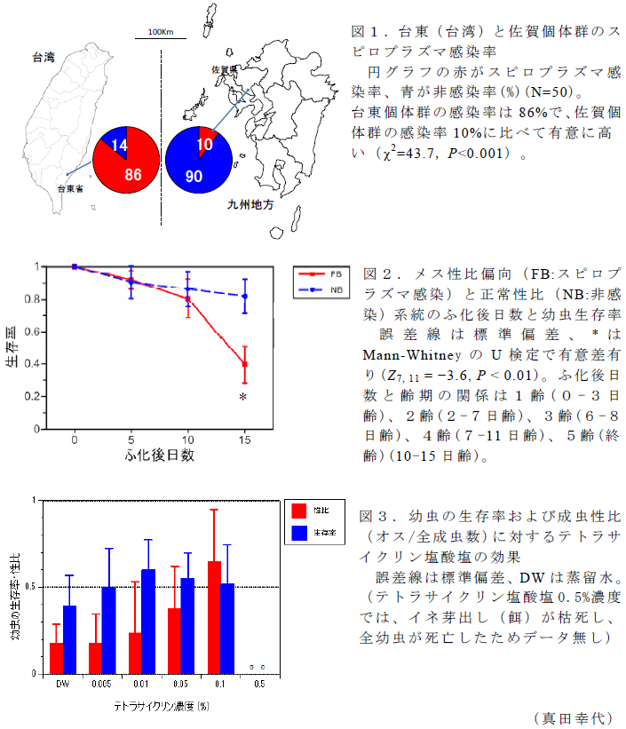 図1～3