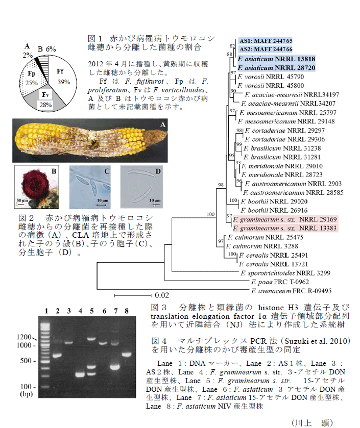 図1～4