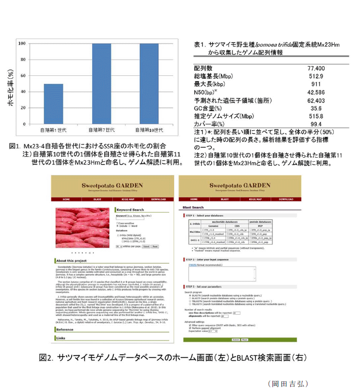 図1～2,表1