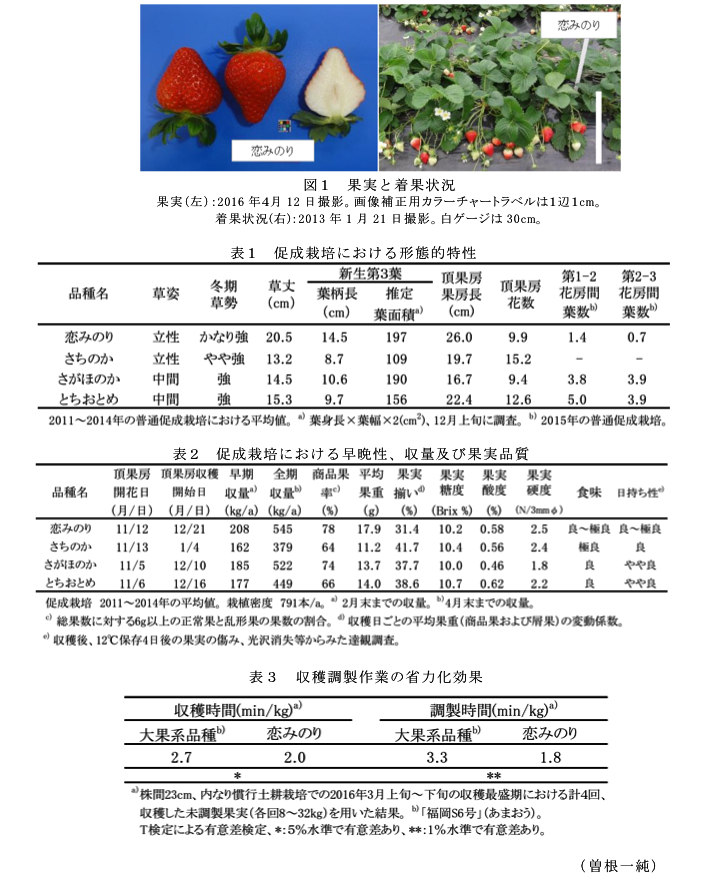 図1 果実と着果状況?表1 促成栽培における形態的特性?表2 促成栽培における早晩性、収量及び果実品質?表3 収穫調製作業の省力化効果