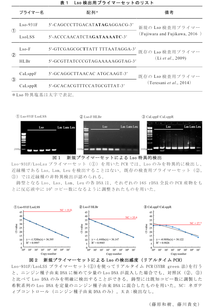 表1 Lso検出用プライマーセットのリスト?図1 新規プライマーセットによるLso特異的検出?図2 新規プライマーセットによるLsoの検出感度(リアルタイムPCR)