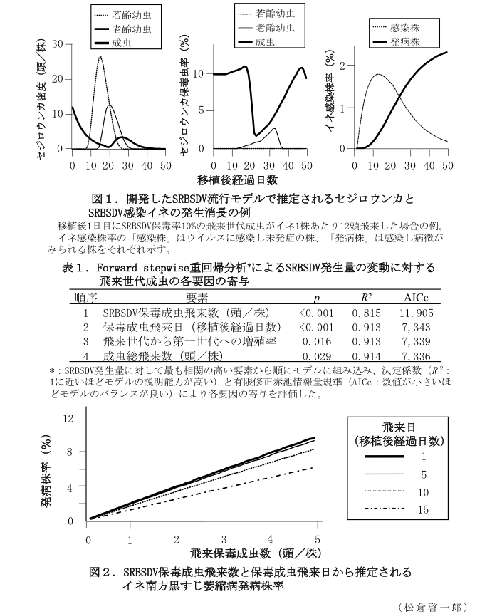 図1.開発したSRBSDV流行モデルで推定されるセジロウンカとSRBSDV感染イネの発生消長の例?表1.Forward stepwise重回帰分析によるSRBSDV発生量の変動に対する飛来世代成虫の各要因の寄与?図2.SRBSDV保毒成虫飛来数と保毒成虫飛来日から推定されるイネ南方黒すじ萎縮病発病株率