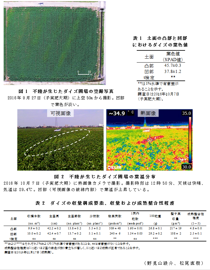 図1 不陸が生じたダイズ圃場の空撮写真;表1 土面の凸部と凹部におけるダイズの葉色値;図2 不陸が生じたダイズ圃場の葉温分布;表2 ダイズの収量構成要素、収量および成熟整合性程度