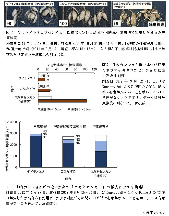 図1 サツマイモネコブセンチュウ抵抗性カンショ品種を同線虫発生圃場で栽培した場合の被害状況;図2 前作カンショ品種の違いが翌春のサツマイモネコブセンチュウ密度に及ぼす影響;図3 前作カンショ品種の違いが次作「コガネセンガン」の被害に及ぼす影響